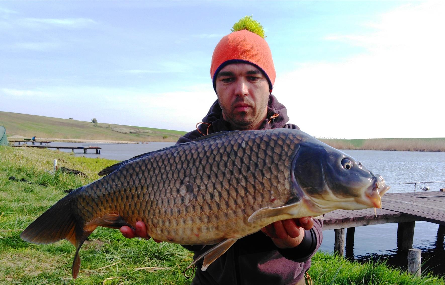 Bila 2 6 - 7 aprilie 2019 - img20190407184659resized20190408103959436.jpg